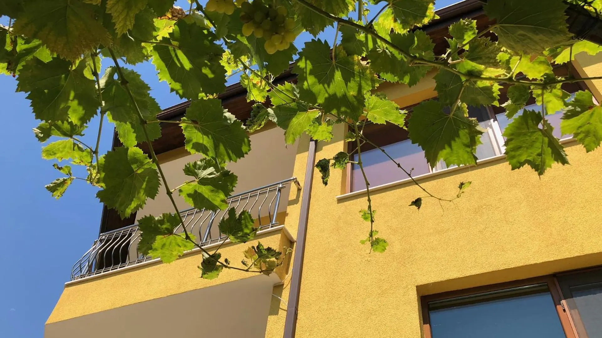 Apartment Adi Varna